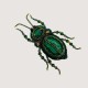 Handmade beaded brooch "Scarabaeus" Handmade beaded brooch "Scarabaeus"