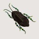 Handmade beaded brooch "Scarabaeus" Handmade beaded brooch "Scarabaeus"