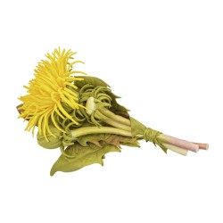 Brooch "Dandelion " 