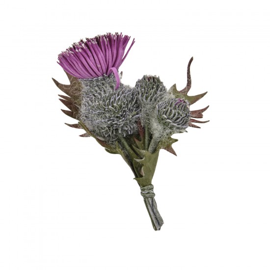 Handmade brooch "Carduinae"